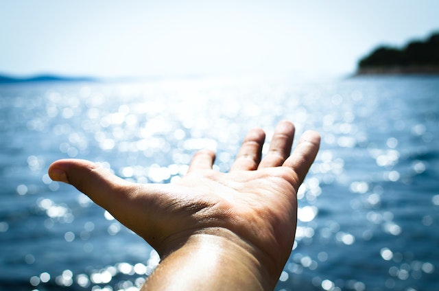 Discover The Many Health Benefits Of Red Algae Calcium
